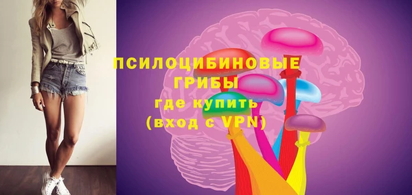 mix Ельня