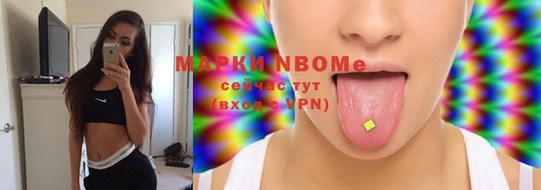 шишки Дмитриев
