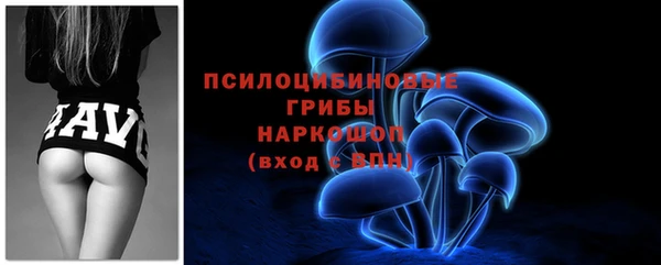 шишки Дмитриев