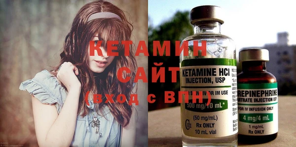 шишки Дмитриев