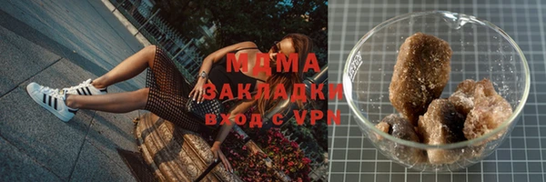 шишки Дмитриев