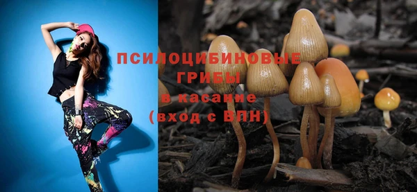 шишки Дмитриев